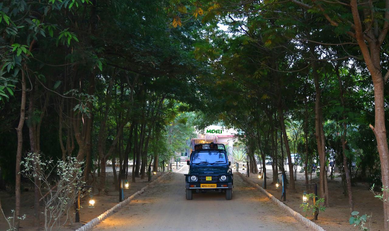 Mogli Resort Kanha Luaran gambar
