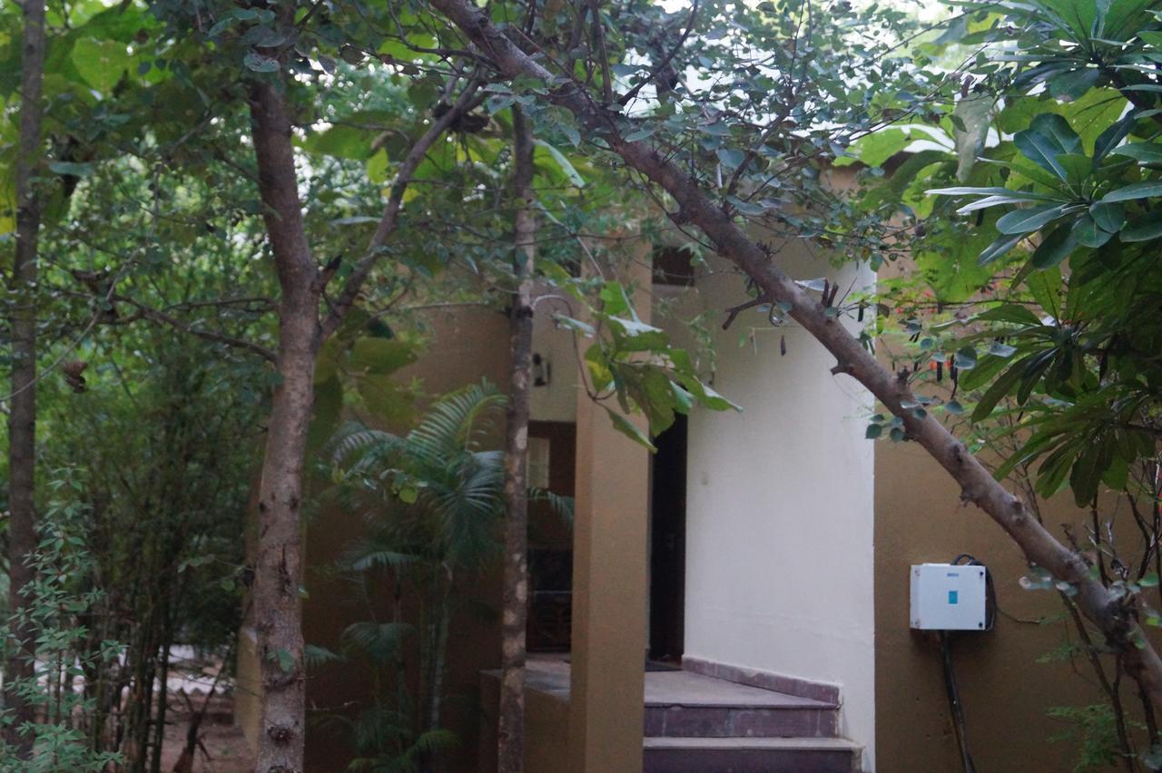 Mogli Resort Kanha Luaran gambar
